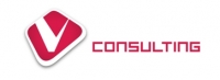 V Consulting